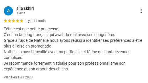 educateur-canin-maisons-alfort--bouledogue-francais